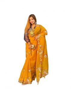 The Secret of Alluring Silk Organza Saree